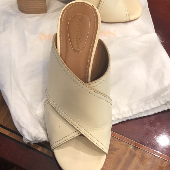 See Chloe slides - Picture 2 of 4